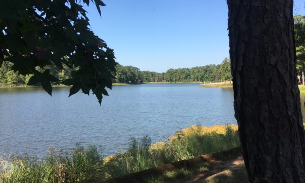 Indian Springs State Park, Georgia