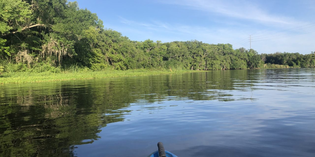 How we float… in kayaks